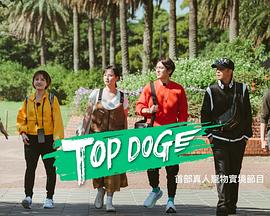 星空传媒《TOP DOG》免费在线观看