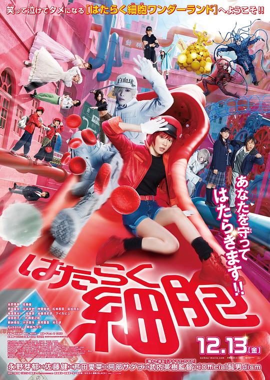 明星黑料《工作细胞 真人版 はたらく細胞》免费在线观看