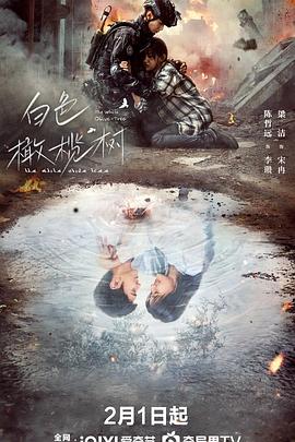 星空影视《白色橄榄树》免费在线观看