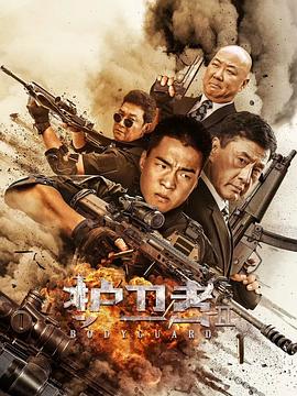星空影视《护卫者2》免费在线观看