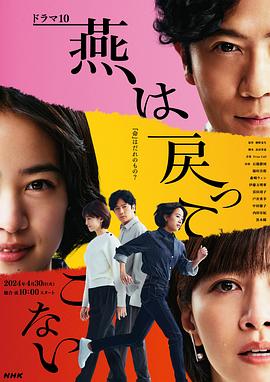 明星黑料《燕子不再归来》免费在线观看