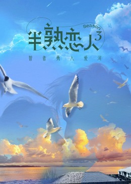 星空传媒《半熟恋人 第三季》免费在线观看