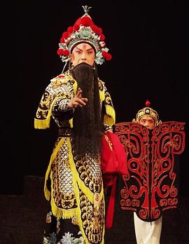 星空影视《袁崇焕2009》免费在线观看