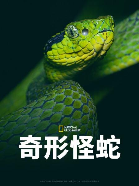 星空影视《奇形怪蛇》免费在线观看