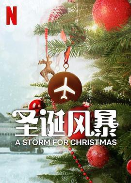 明星黑料《圣诞风暴》免费在线观看